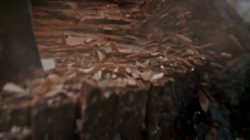 Bark, splinters and dust fully cover the camera